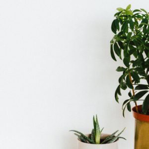 Weekend Wanderlust Wardrobe